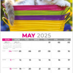 Pets 2025 Promotional Calendar