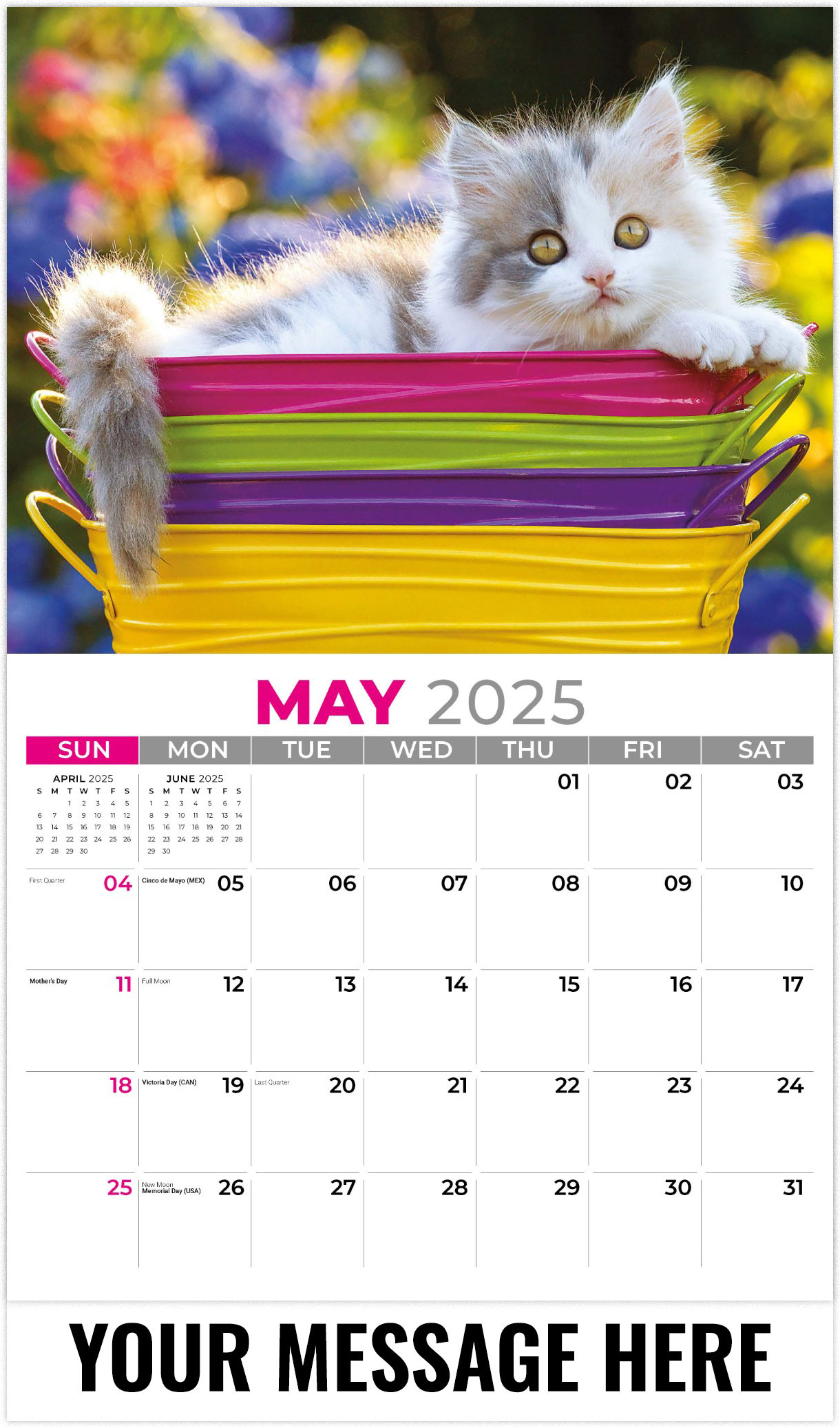 Pets 2025 Promotional Calendar