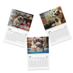 Pissed Off Cat Calendar 2025 Funny Cat Calendar Angry Cat Calendar