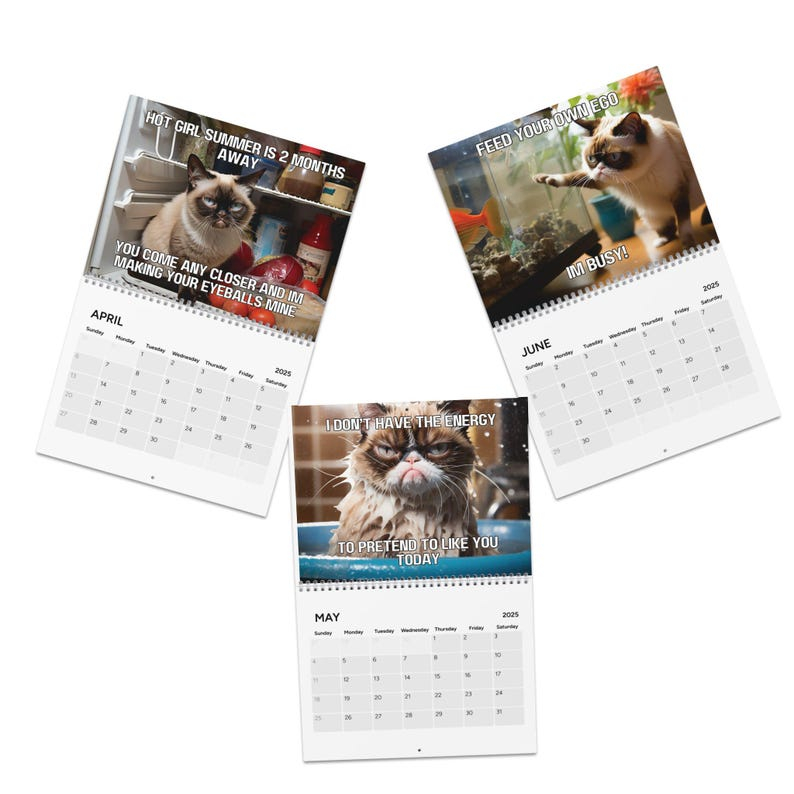 Pissed Off Cat Calendar 2025 Funny Cat Calendar Angry Cat Calendar 