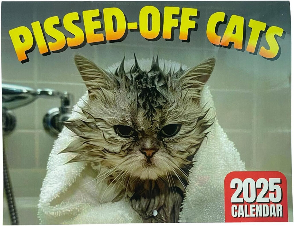 Pissed Off Cats Kalender 2025 Katzenkalender 2025 Lustig Wandkalender 