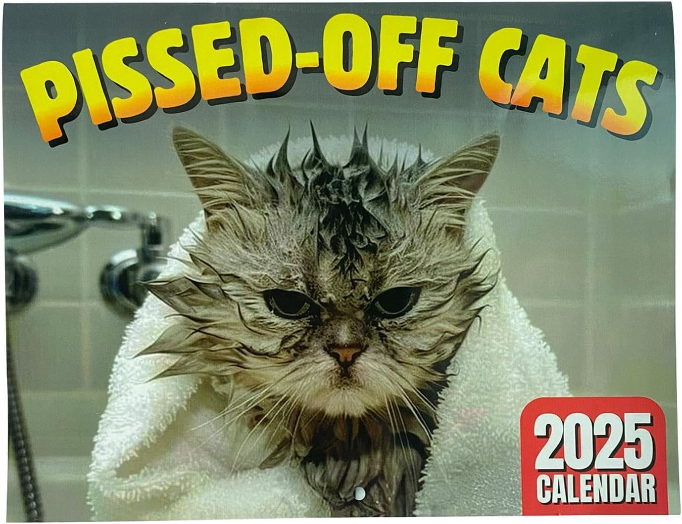 Pissed Off Cats Kalender 2025 Katzenkalender 2025 Lustig Wandkalender