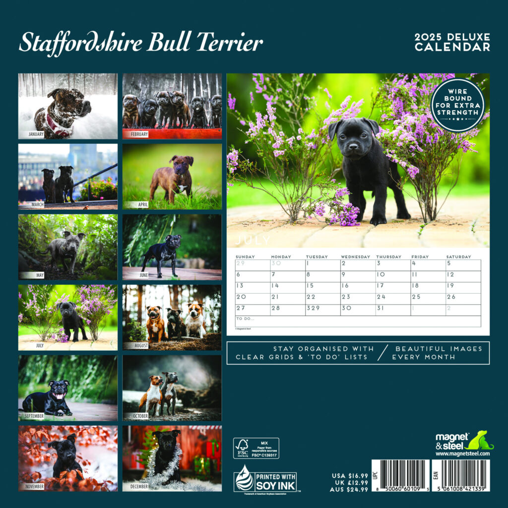 Staffordshire Bull Terrier Calendar 2025 Buy Order Online Easily 