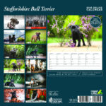 Staffordshire Bull Terrier Calendar 2025 Buy Order Online Easily