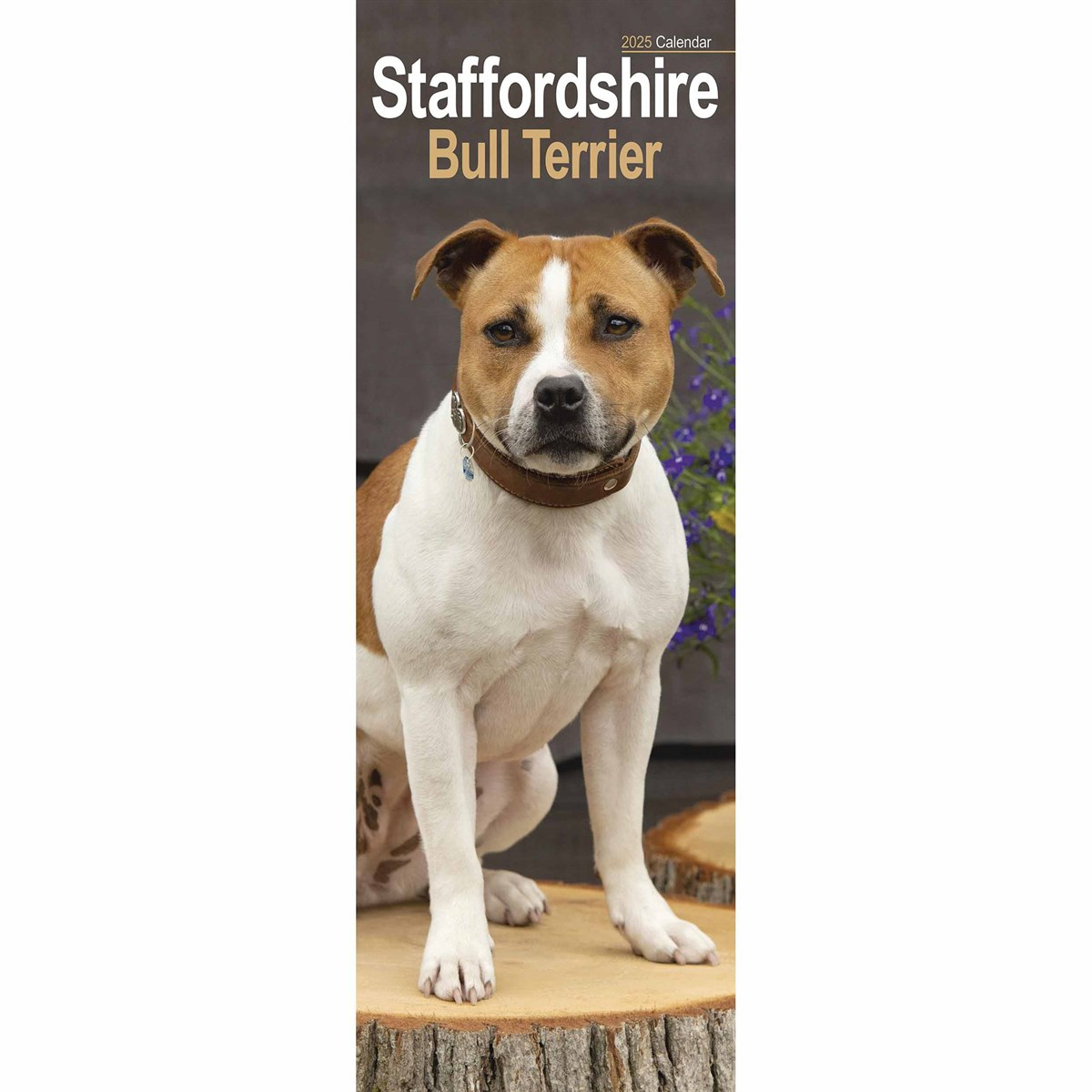 Staffordshire Bull Terrier Slim Calendar 2025