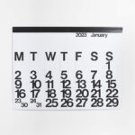 Stendig Calendar 2025 Crate And Barrel Almeda Scarlett