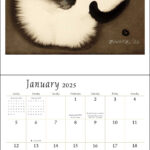 The Artful Cat 2025 Wall Calendar Book Summary Video Official