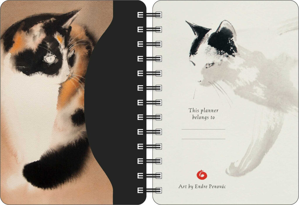 The Artful Cat 2025 Weekly Planner Calendar Book Summary Video 