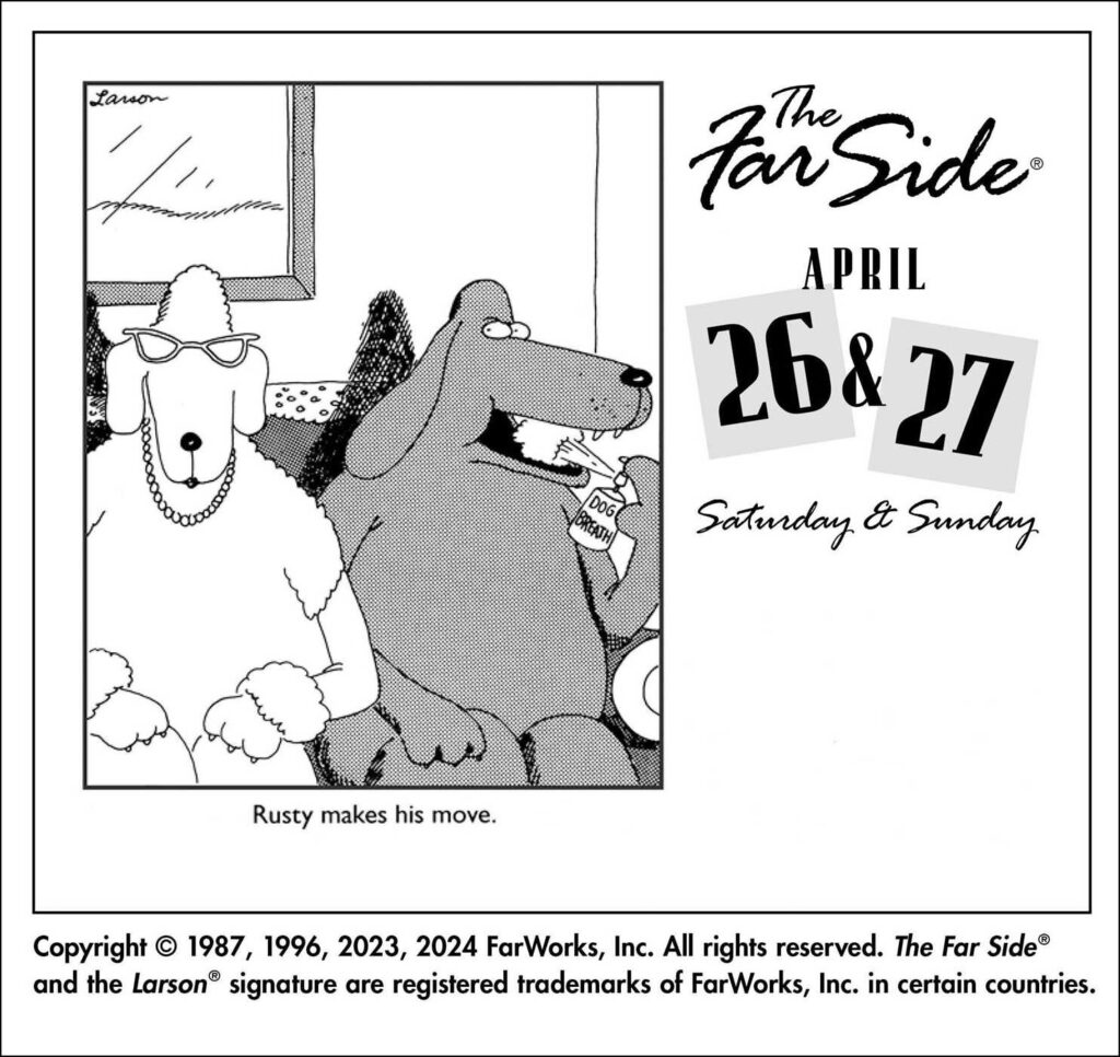 The Far Side 2025 Off the Wall Day to Day Calendar Book Summary 