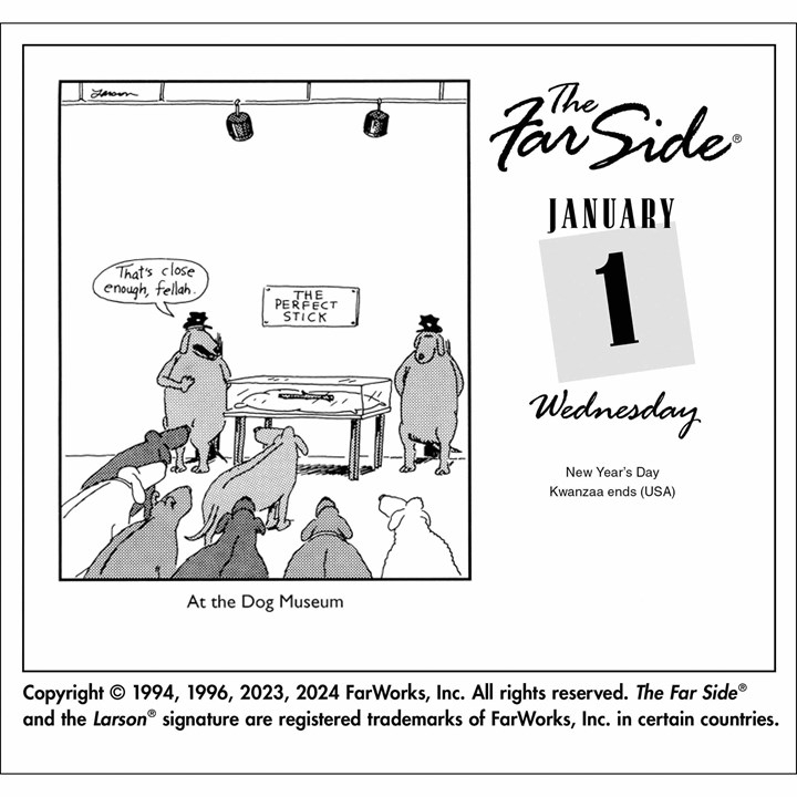 The Far Side Desk Calendar 2025